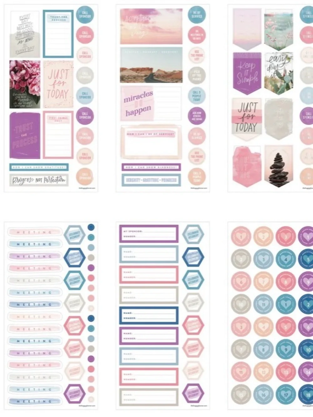NWT-The Happy Planner-Recovery Progress Classic Planner Companion